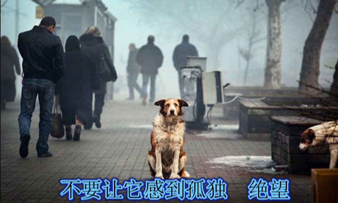 阿拉尔阿拉尔爱影圈微博微信转发案例